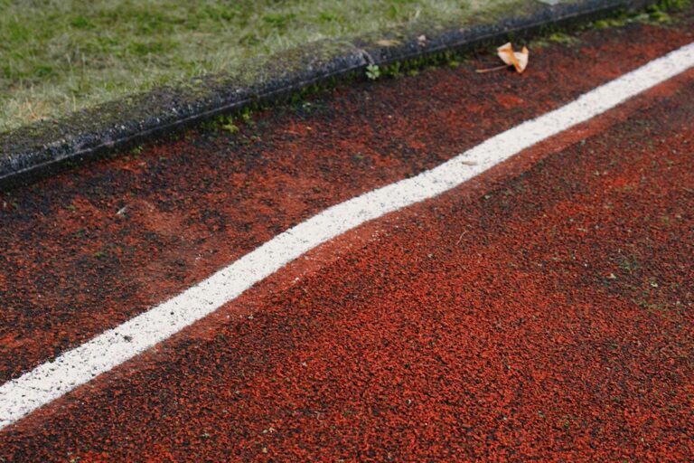 Stadionbäume fällen nur mit Nachpflanzungen